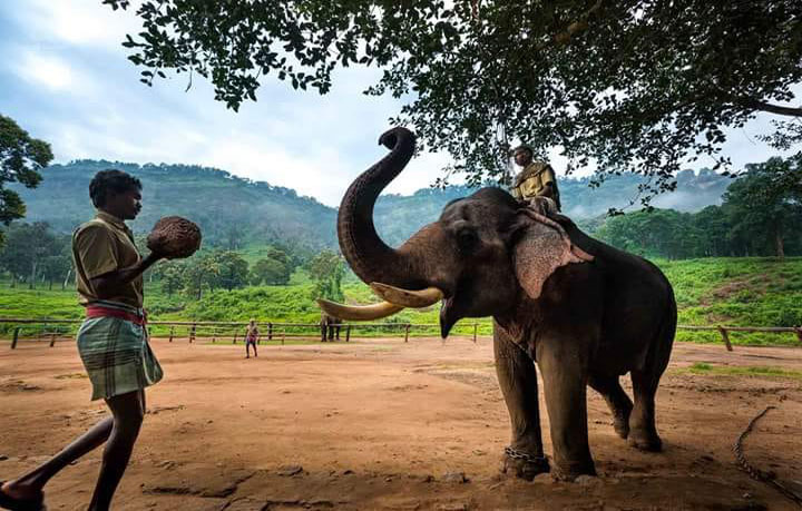 valparai gallery