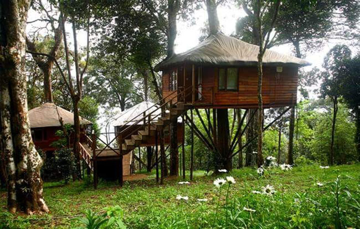 valparai gallery