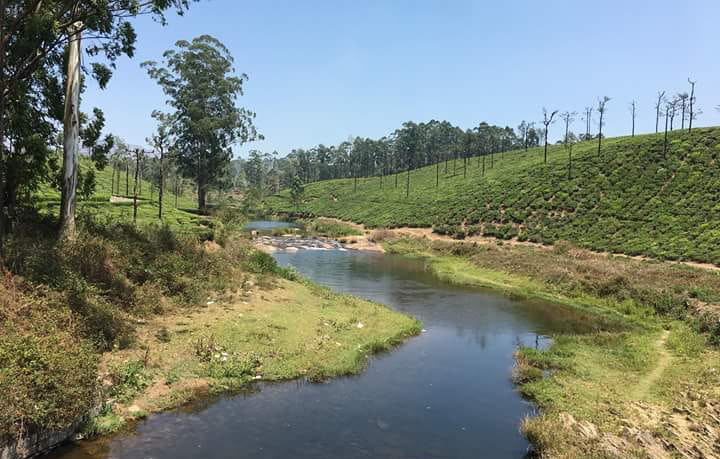 valparai gallery