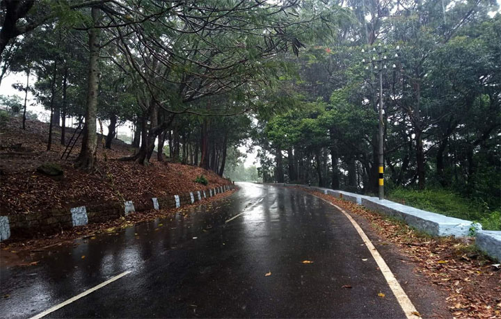 valparai gallery