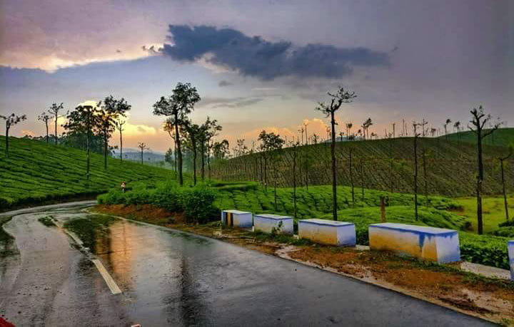 valparai gallery