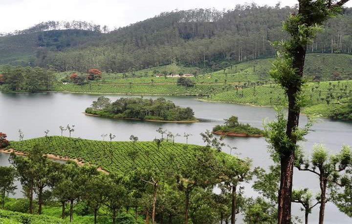 valparai gallery