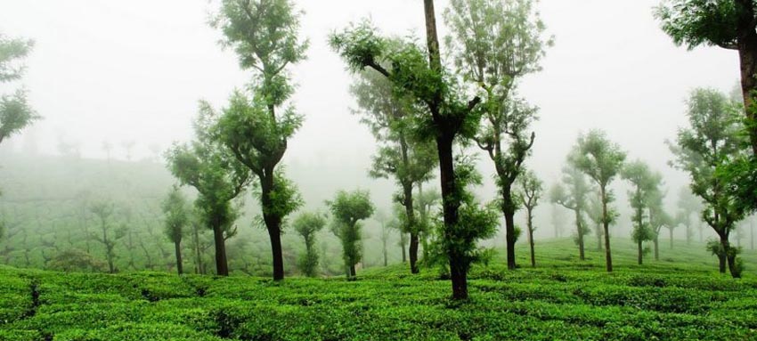 athirampally tours