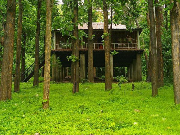 hills-tours-valparai-topslip