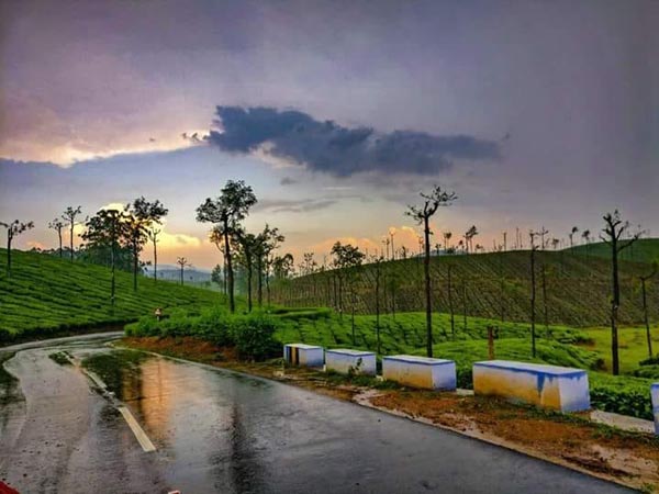 hills-tours-valparai