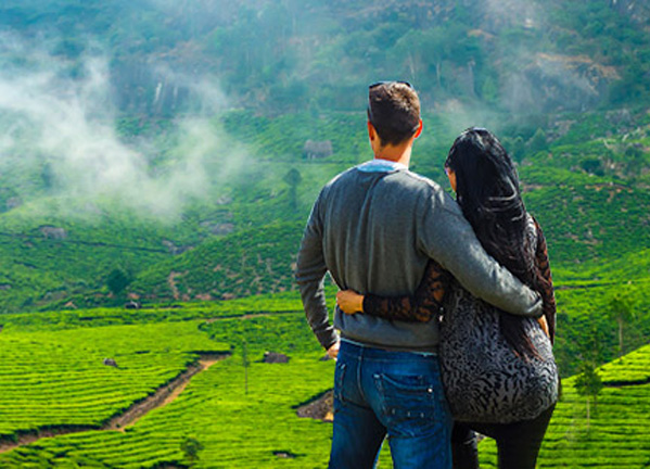 honeymoon-munnar
