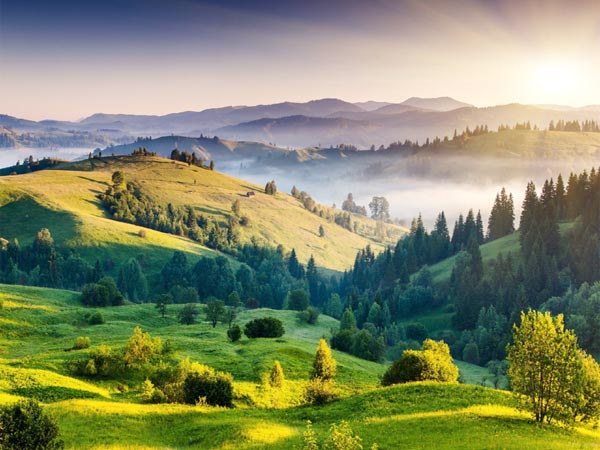 south-india-tours-kodaikanal-munnar