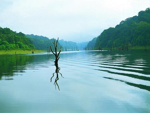 south-india-tours-kodaikanal-thekkady