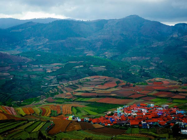 student-tours-valparai-topslip-ooty-kodaikanal