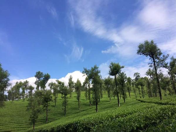 student-tours-valparai