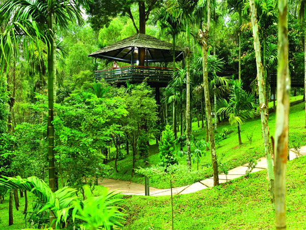 wayanad